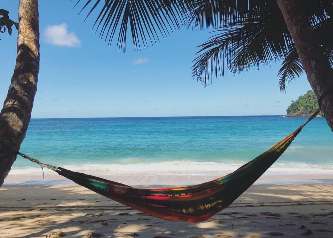 Beautiful Tobago beach with hammock between palm trees
