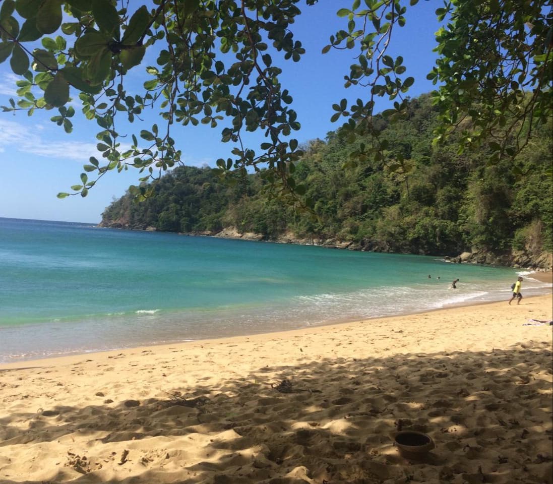 Beautiful sheltered bay in Tobago surrounded by lush rainforest
